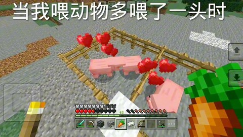 我的世界手机版怎么喂动物[图2]