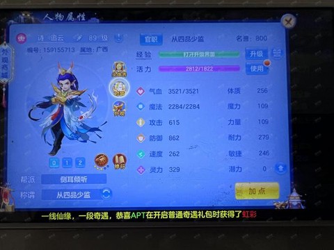 神武血宝宝怎么加点