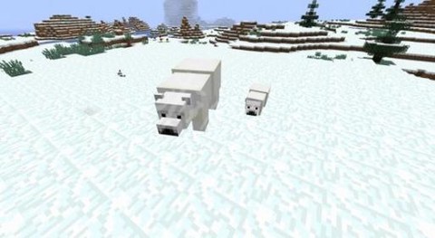 我的世界北极熊怎么训[图2]