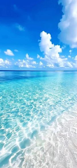 手机桌面主题[图1]