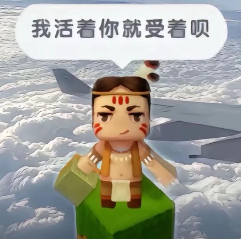 为什么迷你世界很卡[图2]